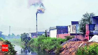 Ludhiana Ranked Among Top 100 Most Polluted Cities in India | Ludhiana News - Times of India