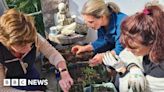 Jersey: Grouville gardening repair cafe to foster nature bonds