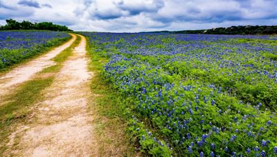 Texas is home to 11 'World's Largest' things — do you know what they are?