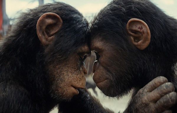 ‘Kingdom Of The Planet Of The Apes’ Is Finally Streaming—How To Watch The Entire Franchise