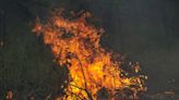 Wharton State Forest fire 95% contained, suspected cause illegal campfire, DEP says