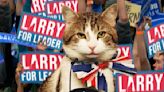 Britain's true ruler? Larry the Downing Street cat