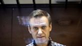 Tribunal en Siberia ordena cárcel para allegada de Navalny