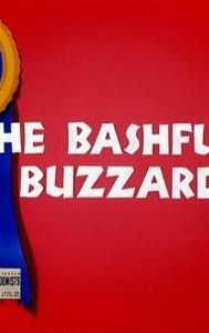 The Bashful Buzzard