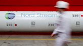 Nord Stream 2 registers German subsidiary, certification still suspended