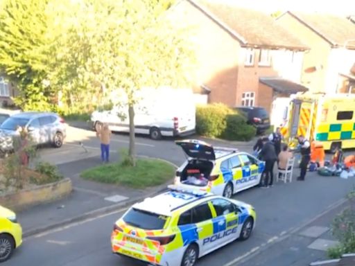 Hainault station stabbing: Man wielding sword arrested after police and public attacked in east London