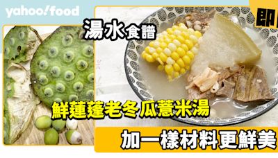 湯水食譜│鮮蓮蓬老冬瓜薏米湯 加一樣材料更鮮美