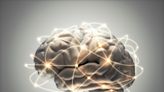 Light Exposure Linked to Sharper Cognitive Skills, Study Finds