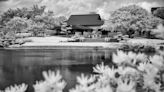 Infrared camera offers fresh views of 40-year-old Morikami Japanese Gardens near Delray