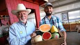 A Fresno County farmstand sells ‘dino’ melons and ‘sugar baby’ watermelons. Where to find it