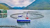 Feds to stop open-net salmon farms; Allow five years to transition: report