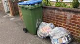 Southampton bin collections still falling short, council boss says