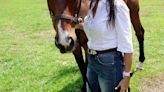 Vicari rescues horses, and wounded souls, at Folsom farm