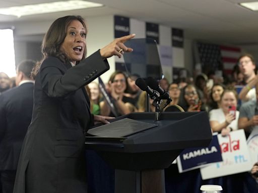 Harris has support of enough Democratic delegates to become party’s presidential nominee: AP survey