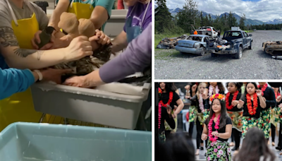 AROUND ALASKA: He Got Slimed, They Cleaned Up, and They Celebrated!