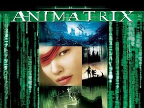 The Animatrix