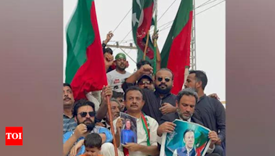 Pakistan Tehreek-e-Insaf organises rallies seeking release of jailed leader Imran Khan - Times of India
