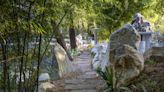 A dreamy new bamboo forest has opened in the centre of Sydney's CBD