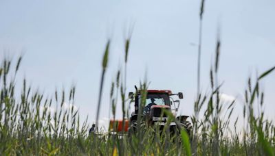 Einkommen und Betriebsgewinne von Landwirten steigen deutlich