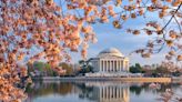 The Best Places To See Cherry Blossoms In Washington, D.C.