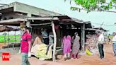 Chandipura Virus Outbreak in Gujarat: State Confirms 22 Cases | Ahmedabad News - Times of India