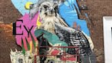 York peregrine falcon mural unveiled to celebrate city's heritage