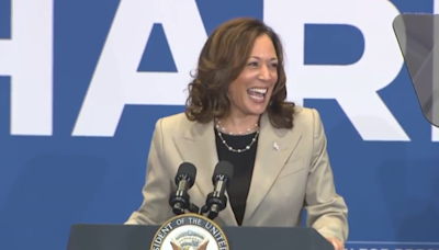 Kamala Harris sparks excitement for Asian Americans in North Carolina