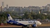 Exclusive-India's Go First owner has no plans to exit airline -CEO