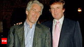 Yes, Trump 'unknowingly' flew on charter jet previously owned by Jeffrey Epstein - Times of India