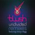 Undivided Remixes