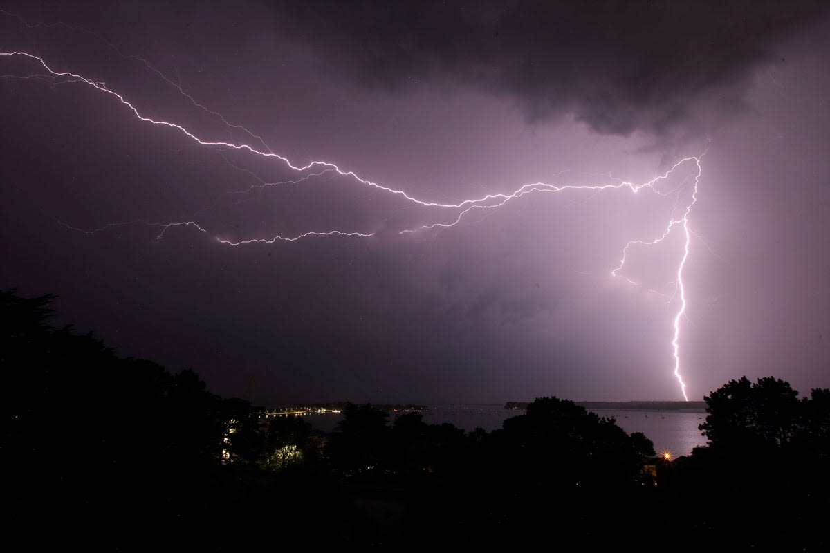 Rancher and 34 cows shockingly killed in lightning strike: ‘It hit them all’