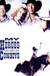 My Heroes Have Always Been Cowboys (film)