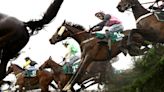 Grand National 2023: Full list of runners and horse-by-horse guide of Aintree race today