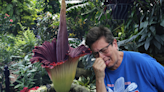 Hundreds traveled to the Mitchell Park Domes to smell the Corpse Flower, which smells like rotten flesh