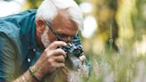 Successful Aging: Why staying creative as we age can take many forms