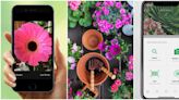 20 gardening apps and plant identifiers to make you a better gardener