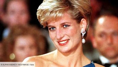 PHOTO – Lady Diana : son frère, Charles Spencer, retrouve un tendre souvenir de leur enfance