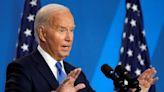 Elecciones en EEUU: quiénes suenan como posibles candidatos en lugar de Biden | Mundo