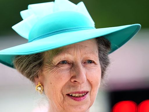 Princess Anne Shares First Statement Following Hospitalization