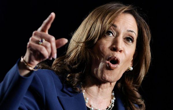 Kamala Harris slams Trump at first rally as he hits back