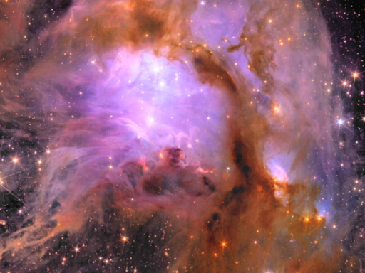 Destaque da NASA: berçário estelar M78 é foto astronômica do dia