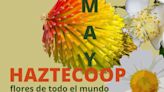 Ayuntamiento de Huesca y las O.N.G. locales acercan la Cooperación al Desarrollo, con el programa "Flores de todo el mundo"