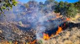Avanza incendio en Janos; reporta Conafor cero combatientes