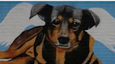 Artista crea mural para honrar a Scooby, el perrito que fue arrojado a un cazo con aceite hirviendo