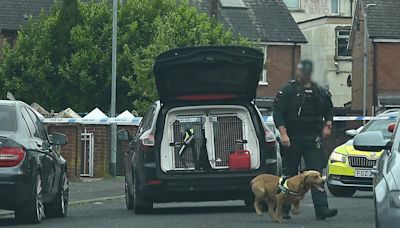 North Belfast security alert: People moved from their homes