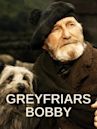 The Adventures of Greyfriars Bobby