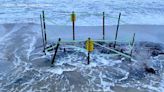 Seven sea turtle nests flooded on Dauphin Island