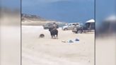 Pánico en la playa: un toro siembra el caos entre los bañistas y embiste a una mujer