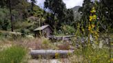 Cool, gentle Tujunga stream draws masses. Piles of waste, traffic, illegal parking follow