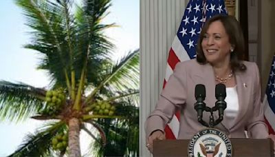 Kamala Harris' Coconut Tree Meme Goes Viral Again: What’s Behind The Buzz?